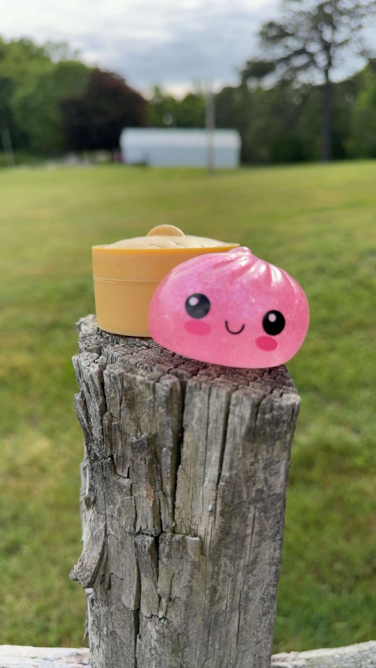 Mini Mystery Dumpling dupes
