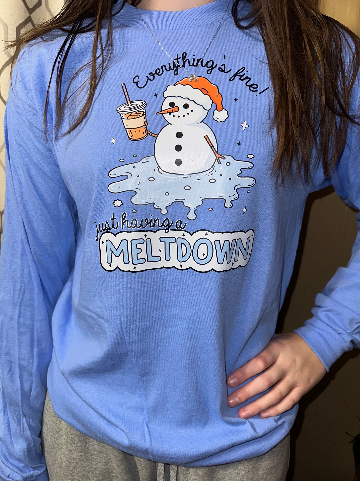 Black Friday Special- We’re Having a Meltdown long sleeve graphic